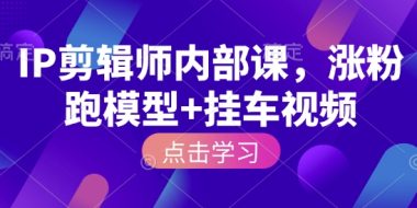IP剪辑师内部课，涨粉跑模型+挂车视频(更新)