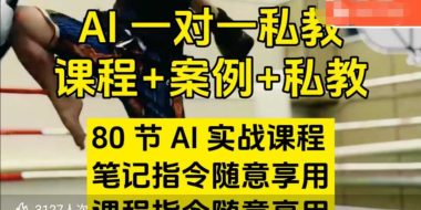 AI指令实战课，课程+案例，80节AI实战课程，笔记指令随意享用，课程指令随意享用(更新26年3月)