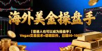 海外美金操盘手技术【普通人操盘手手册】Vegas交易技术+聪明软件,日赚50-100U