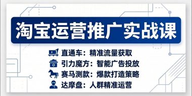 淘宝运营推广实战课,直通车+引力魔方+赛马测款+达摩盘人群推广等(更新26年3月