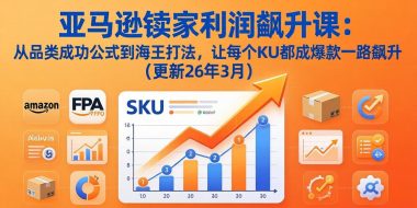 亚马逊卖家利润飙升课:从品类成功公式到海王打法,让每个SKU都成爆款一路飙升(更新26年3月