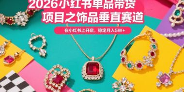 2026小红书单品带货项目之饰品垂直赛道，潮在小红书上开店，稳定月入5W+(更新0401)