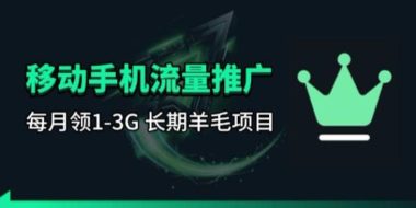手机流量领取推广_每月一轮，刚需类的长期项目
