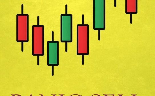 《恐慌抛售2（Panic Sell 2）》官方中文 Build 22657245 [中文/英文/日语]