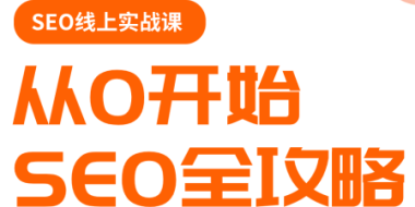 若凡老师·谷歌SEO实操课(更新)