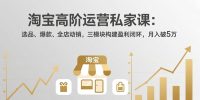 淘宝高阶运营私家课(更新26年4月18