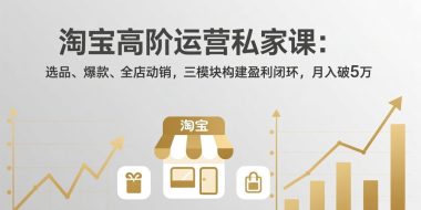 淘宝高阶运营私家课(更新26年4月18