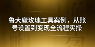 引流创业粉卖软件教学：鲁大魔玫瑰工具案例，从账号设置到变现全流程实操