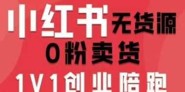 小红书无货源0粉电商课，开店准备、选品策略、笔记撰写、视频剪辑、数据分析、账号打造、资料文档(更新26年4月20日)