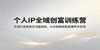 个人IP全域创富训练营：吃透抖音视频号流量规则，AI全链路赋能直播带货变现