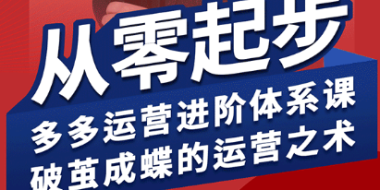 海神·拼多多运营进阶系统课(更新2026)