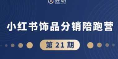 盗坤·抖音小红书视频号短视频带货与直播变现(11-21期)