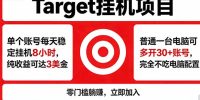 海外平台Target，正规运营商合作、技术兜底长期稳定、防风控、任务不断档、收益透明、灵活提…