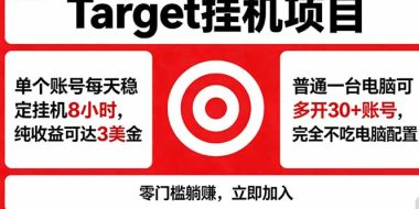 海外平台Target，正规运营商合作、技术兜底长期稳定、防风控、任务不断档、收益透明、灵活提…