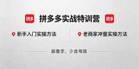 拼多多实战特训营(更新5月3