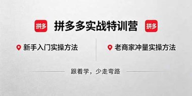 拼多多实战特训营(更新5月3