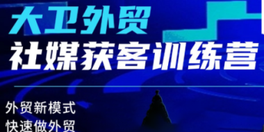 大卫老师·外贸社媒获客独家训练营(更新4月)