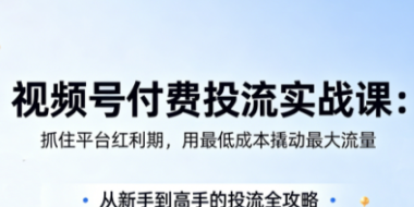 渔财老师·视频号付费投流实战课(更新5月)