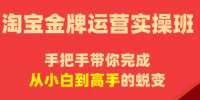 飓风电商·淘宝金牌运营实操班