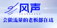 董十一·风声短视频AI获客年度会员