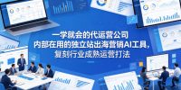 一学就会的代运营公司内部在用的独立站出海营销AI工具，复刻行业成熟运营打法