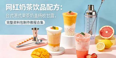网红奶茶饮品配方:台式港式果茶奶盖杨枝甘露,完整资料包制作教程合集