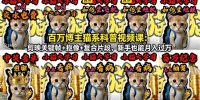 百万博主猫系科普视频课：剪映关键帧+抠像+复合片段，新手也能月入过万