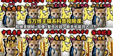 百万博主猫系科普视频课：剪映关键帧+抠像+复合片段，新手也能月入过万