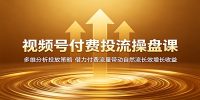 视频号付费投流操盘课：多维分析投放策略，借力付费流量带动自然流长效增长收益