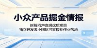 小众产品掘金情报:拆解闷声变现优质项目,独立开发者小团队可直接抄作业落地