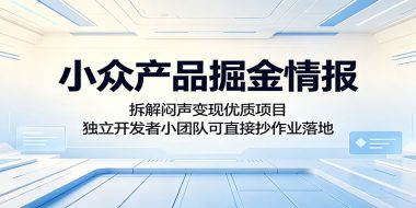 小众产品掘金情报:拆解闷声变现优质项目,独立开发者小团队可直接抄作业落地