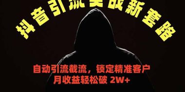 抖音引流实战新套路，挂机自动引流截流精准锁定客户，月收益破 2W+