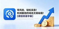 零风险，轻松买卖！利润翻倍的域名交易秘籍！【原创双语字幕】