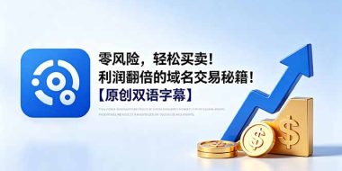 零风险，轻松买卖！利润翻倍的域名交易秘籍！【原创双语字幕】