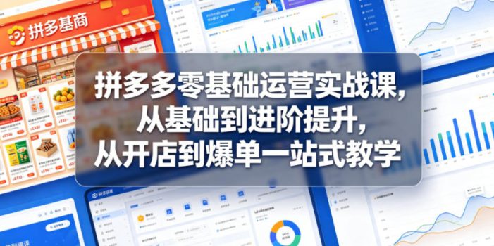 拼多多零基础运营实战课，从基础到进阶提升，从开店到爆单一站式教学