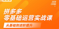 仙道电商·拼多多零基础运营实战课