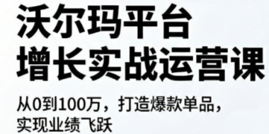 沃尔玛平台增长的实战运营课