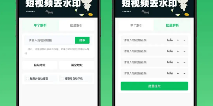 2026最新去水印小程序源码 v1.6.5 带流量主