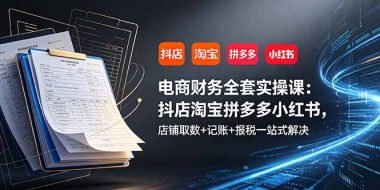 电商财务全套实操课：抖店淘宝拼多多小红书，店铺取数+记账+报税一站式解决