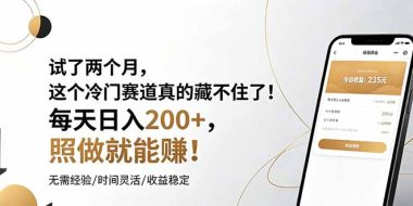 试了两个月,这个冷门赛道真的藏不住了!每天日入200+,照做就能赚!