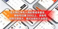 各大网红争先入局的零成本副业，单账号日赚 300 以上，多号矩阵可放大，模式合规长久稳定！