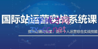 白老师·国际站运营实战系统(高质量询盘增长课)(更新)