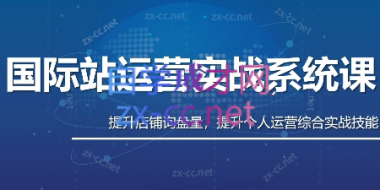 白老师·国际站运营实战系统(高质量询盘增长课)(更新)