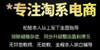 松鼠会电商VIP课程，从基础布局到高阶优化，助你掌握淘宝运营逻辑，提升店铺流量与转化(更新0711)
