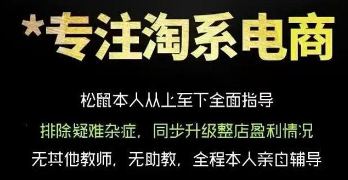 松鼠会电商VIP课程,从基础布局到高阶优化,助你掌握淘宝运营逻辑,提升店铺流量与转化(更新0711)