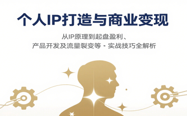 个人IP打造与商业变现,从IP原理到起盘盈利、产品开发及流量裂变等实战技巧全解析