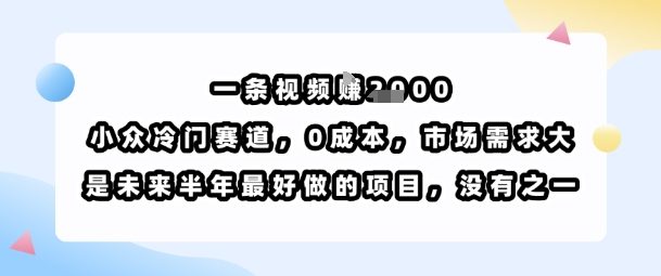 一条视频挣1k,小众冷门赛道,0成本,市场需求大,是未来半年最好做的项目,没有之一