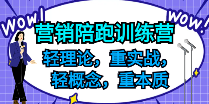 营销陪跑训练营,轻理论,重实战,轻概念,重本质,适合中小企业和初创企业的老板