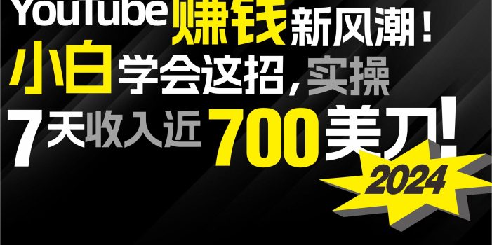 (9647期)2024 YouTube赚钱新风潮!小白学会这招,7天收入近7百美金!