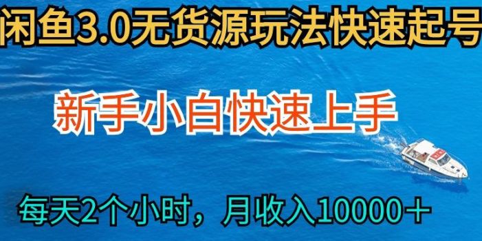 (9913期)2024最新闲鱼无货源玩法,从0开始小白快手上手,每天2小时月收入过万